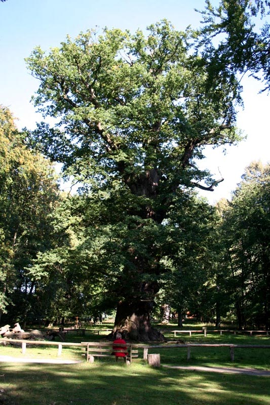 Killikus® Fotographie Killikus® Fotographie